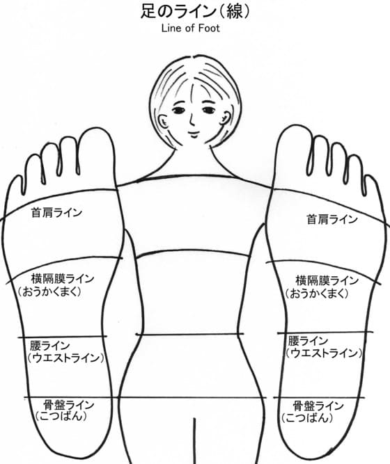 ライン