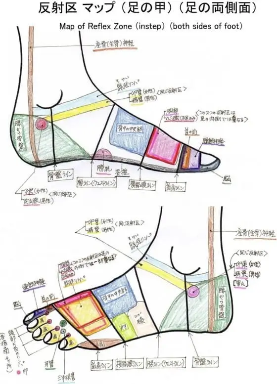 足の甲の反射区
