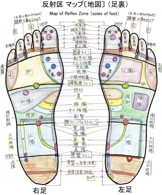 足裏の反射区